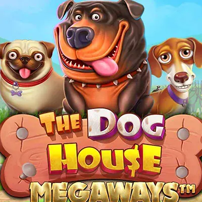 the dog house megaways vivabet